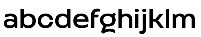 Altertypo Medium