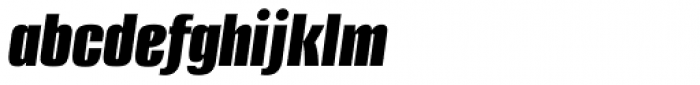 Alumni Sans Black Italic