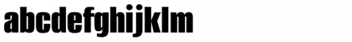 Alumni Sans Black