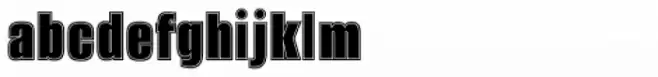 Alumni Sans Collegiate