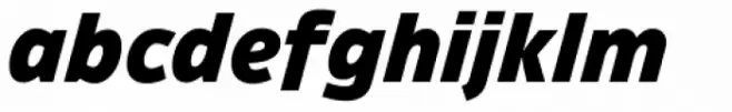 Ambiguity Normate Black Italic