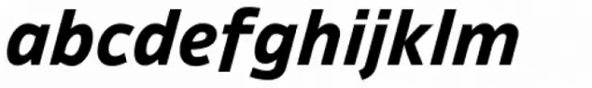 Ambiguity Normate Bold Italic