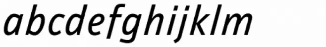 Ambiguity Thrift Italic