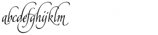 American Calligraphic Swash