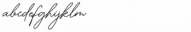 American Favorite Script Bold