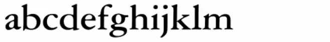 American Garamond Bold