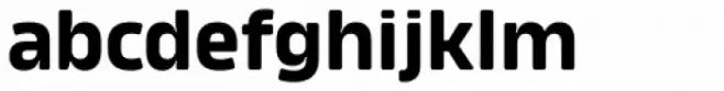Amfibia Bold