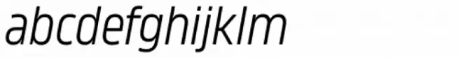 Amfibia Book Condensed Italic