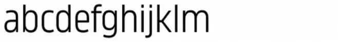 Amfibia Book Condensed