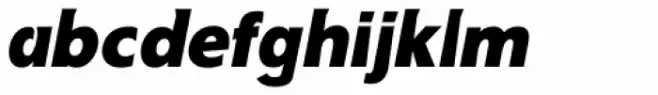 Amico Black Italic
