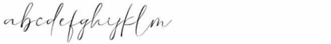 Amolina Boutique Script Regular