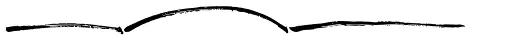 Amorica Script Extra