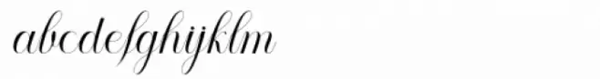 Amour Script  Regular