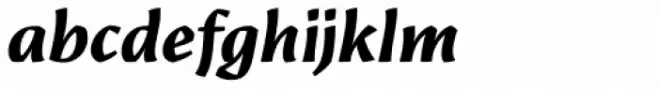 Amrys Extrabold Italic