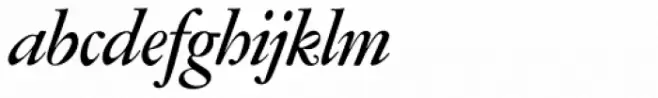 Amsterdamer Garamont Pro Bold Italic