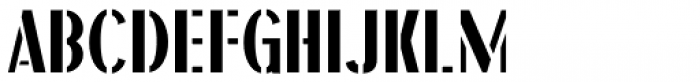 Amusement Ride Stencil JNL