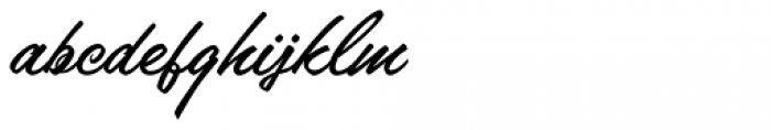 Anaheim Script Pro JF
