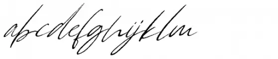Anderson Regular