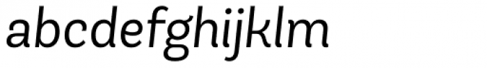 Andes Book Italic