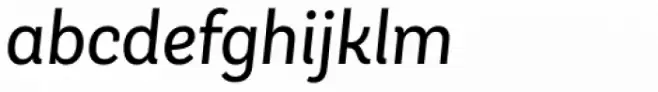 Andes Neue Alt 3 Book Italic
