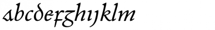 Andron 2 EIR Corpus Italic