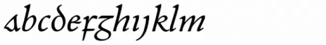 Andron 2 EIR Corpus Italic