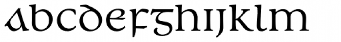 Andron 2 EIR Corpus Middlecase