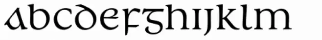 Andron 2 EIR Corpus Middlecase