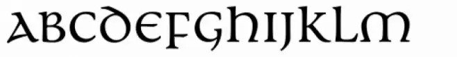 Andron MC Corpus Uncial