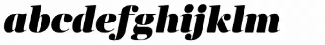 Anglecia Pro Display Black Italic