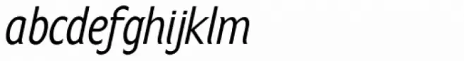 Anicon Sans Sans Italic
