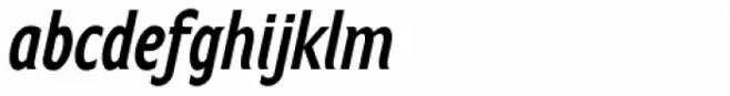 Anicon Sans Variable Italic