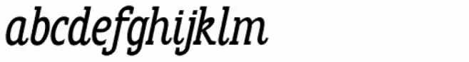 Anicon Slab Medium Italic