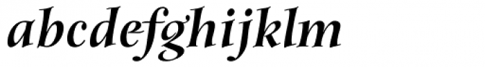 Anima Black Italic