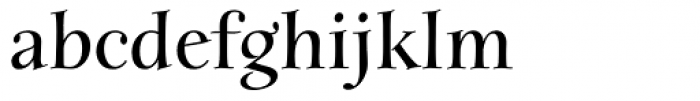 Anima Bold