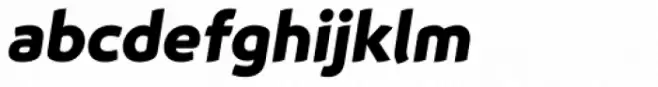 Animo Alt Black Italic