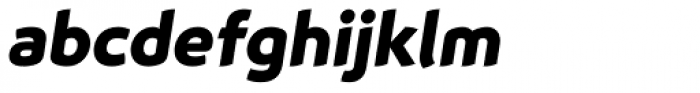 Animo Black Italic