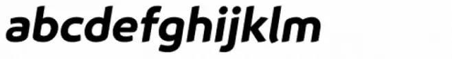 Animo Heavy Italic