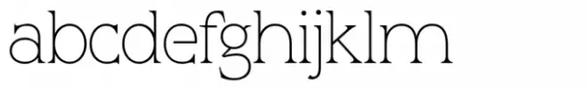 Animus Light