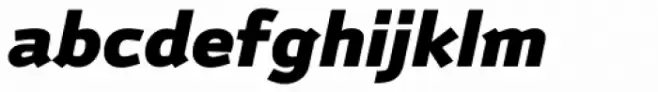 Anomoly Black Italic