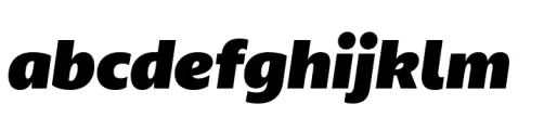 Anona Black Italic