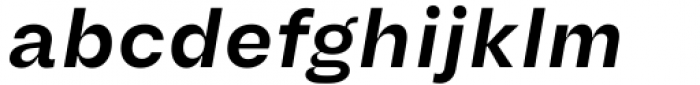 Another Grotesk Text Semibold Italic
