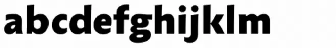 Anselm Sans Medium Bold