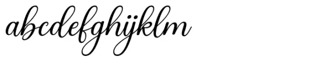 Anteri Signature Regular