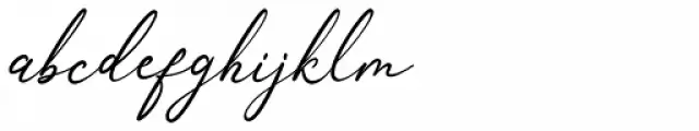 Anthoni Signature Regular