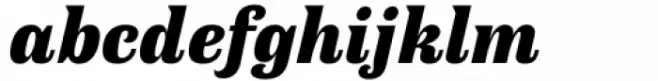 Antica Black Italic