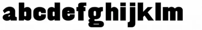 Antique Sans ExtraBold