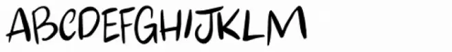 Apex Brush Lite Regular