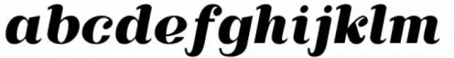 Apium Black Italic