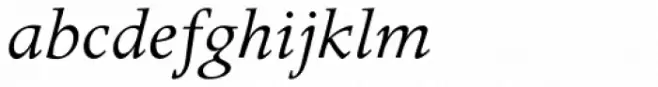 Apollo Pro Italic